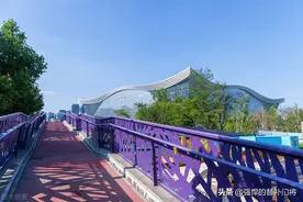 为什么有时候摸过铁，手上会有一股奇怪的味道？蚂蚁庄园今日答案图片
