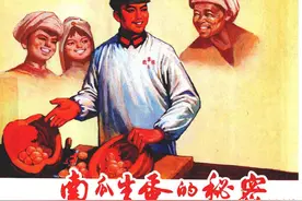 南瓜生蛋的秘密-上海人民美术出版社2013 倪少勇 等绘图片