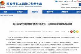 偷逃税被罚九千余万，网红雪梨及其签约网红关联20余家企业图片