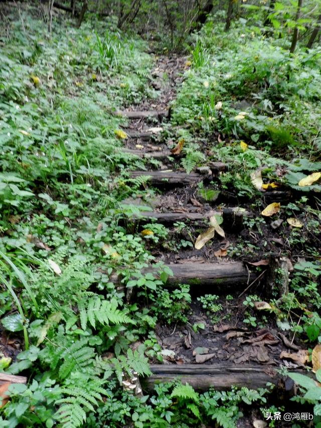 重走抗联路——本溪关门山森林公园鸣翠谷景区抗联秘营