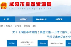 咸阳毕塬路片区升级城市示范区图片