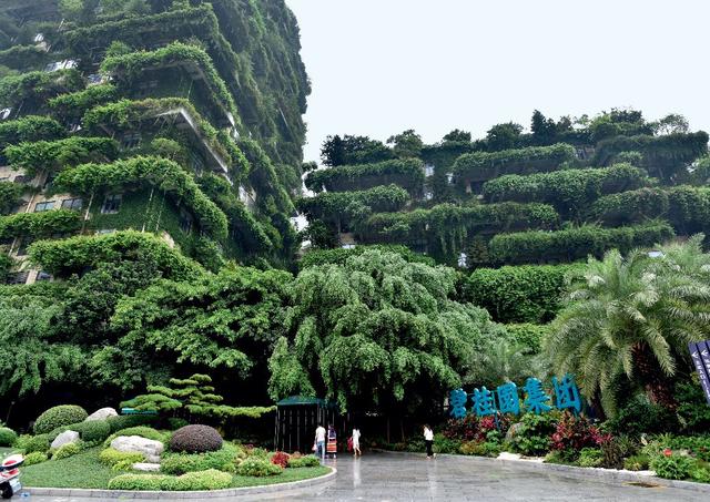 碧桂园员工优化（碧桂园半年优化14万人杨国强重押机器人）