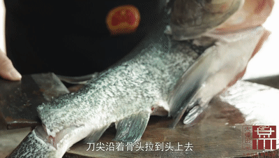 花胶老鸽汤需要放血 2026年花胶老鸽汤需要放血炖吗