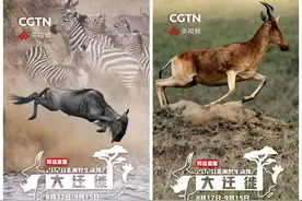 探索狂野非洲，见证生命奇观！央视频云端直播“非洲野生动物大迁徙”图片