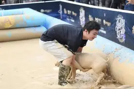 《狗的驳诘》：说起“势利”，与狗相比，有些人有过之而无不及图片