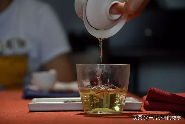 普洱茶从入门到精通的95个专业术语（建议收藏）