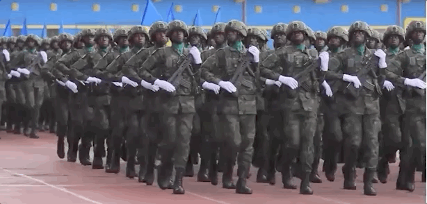 非洲解放军？踢着正步喊“一二一”，世界上的中械师还有哪些？图片