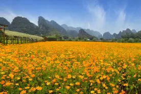 五一还没玩够？这周日，继续约起！图片