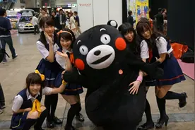 熊本熊是最成功的城市吉祥物吗？居然还丢失过腮红、发过名片图片