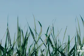 10个幽默小短句，犀利噎人，字字精辟图片