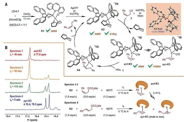 “铱”顺百顺——铱催化Z式保留不对称烯丙基取代反应