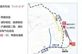 上海临港 ：规划建设轨道交通两港快线  明年通车两条智轨图片
