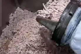 火腿肠是怎么制作的，到底干不干净？看完制作过程，你还想吃吗？图片