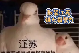 江苏十三太保出征湖北孝感，南京无锡苏州散装江苏出动，武汉加油图片