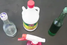 白醋白酒和花露水加在一起，解决了很多人的烦恼，快来学学视频封面