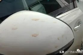 南宁一辆小车和公交车互怼，公交车司机竖中指还泼水图片