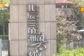 长沙超大型小区业委会成立难？北辰三角洲D3区成功破局图片