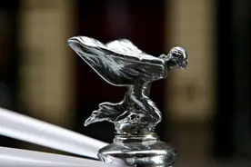 浙江一电动车撞劳斯莱斯，车损高达20万，车主：该赔多久就赔多少图片