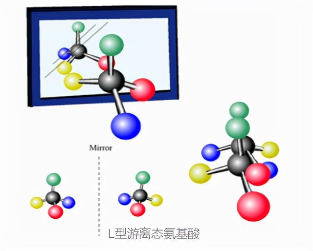 为什么越来越多的人喜欢用氨基酸水溶肥？它有什么作用？