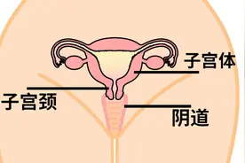 听说女人老了之后，子宫都会从下面“掉”出来？图片