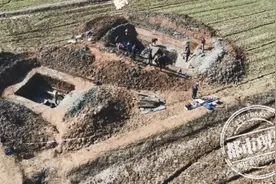 “摸金校尉”栽了！19人落网图片