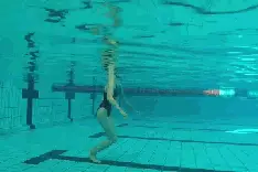 学游泳干货来啦！蛙泳教学之第一课——泳者学院图片