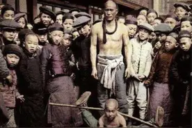 知道蜂麻燕雀，听说过横阁拦荣么图片