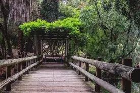 心理测试：4条路，你会走哪条？秒测出你会通过什么方式来发财图片