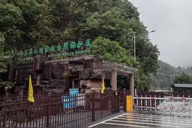 莽山旅游攻略，弄清西门、东门景区，到温泉小镇泡温泉消除疲劳图片