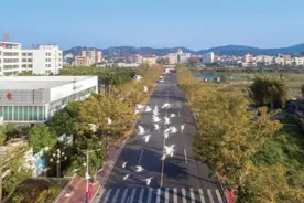 【特区40周年 广东省古村落 ·葛洲】：第一章：葛洲概貌图片