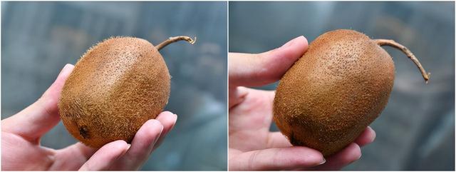 ʼ����ֵ�������� ��ü��ʿ�綯���뵶T3����