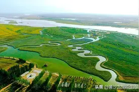 7月逢周末，宁夏黄沙古渡景区联合兵沟黄河大桥送福利！图片