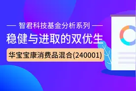 稳健与进取的双优生 – 华宝宝康消费品混合(240001)图片