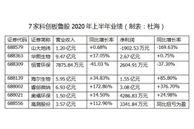 「鲁股半年报大盘点」科创板7股：睿创微纳斩获双冠！山大地纬唯一亏损图片