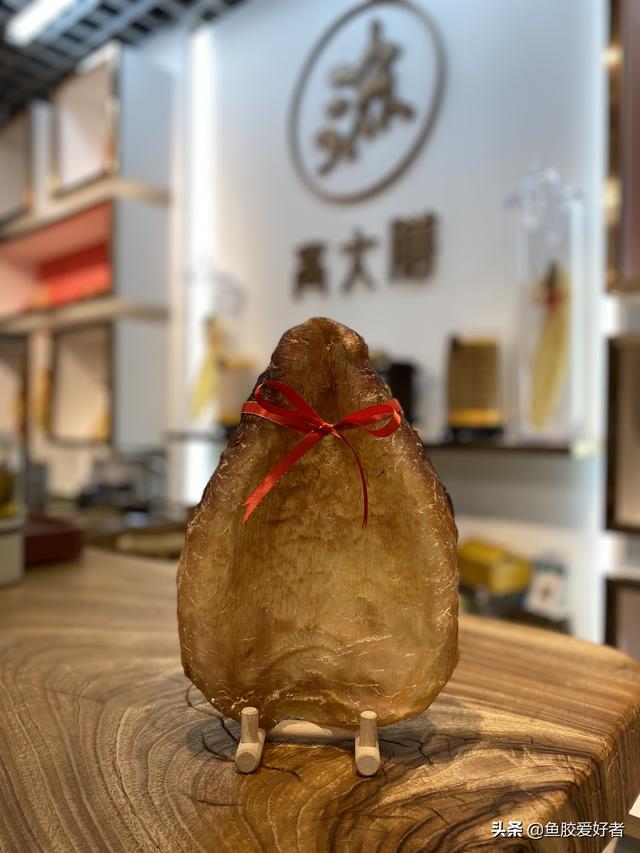 鱼胶为什么这么贵 不就是鱼鳔吗 2026年为什么鱼胶越老越值钱