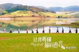 融媒上新剧啦！一个关于理解的故事《让我听懂你的语言》图片