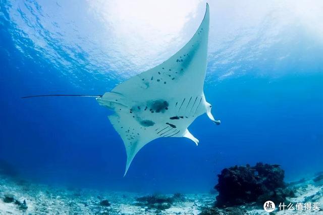 那一抹勾魂的蓝色，卡西欧海神Oceanus 系列介绍