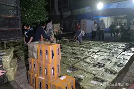 “宠物盲盒”事件：畸形的消费谋杀图片