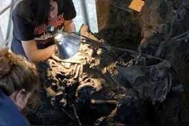 青铜时代的黄油依然能食用，动物残骸不腐不化，沥青坑有何秘密？图片