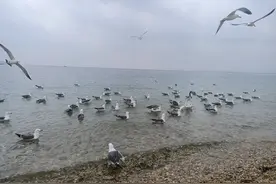 来而不往非礼也，不吃那一套图片