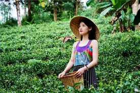 云南这个城市很适合养老，被联合国称为世界的天堂，比昆明还舒服图片