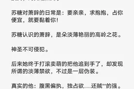 各类小说集8图片