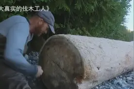 加拿大海边的“拾荒者”，靠在海上捡木头，一个月轻松赚五万图片