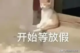 清明出游！昆明周边摘水果全攻略！图片