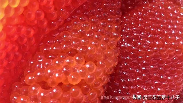 大马哈鱼籽第一次吃有点腥！第二次吃有点咸！随后一直都想吃
