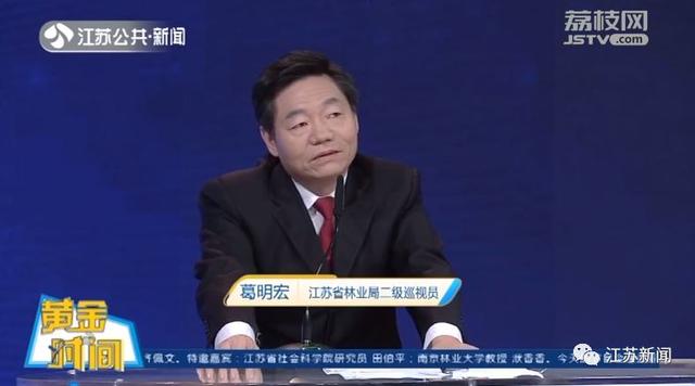 再不用靠进口！全国近1/3的碧根果竟产自江苏这里丨黄金时间
