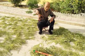 山西农村77岁冠心病老人17年没有发过病，他的自我疗法有意思视频封面