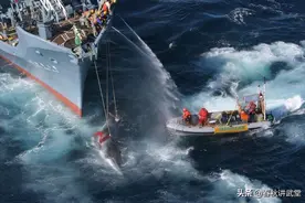 无视各国谴责，日本为何频繁捕杀鲸鱼？真正意图必须警惕图片