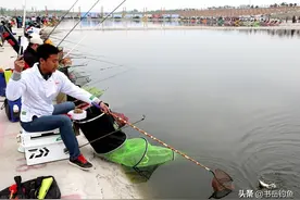 这类饵料即将统治黑坑，但千万不要用来野钓！多数老钓手并不知晓图片