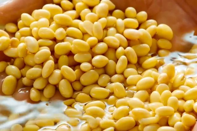 中国12大名酱，哪一款是你心目中的下饭酱王？